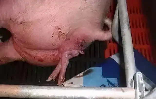 ĸ�����̹���������