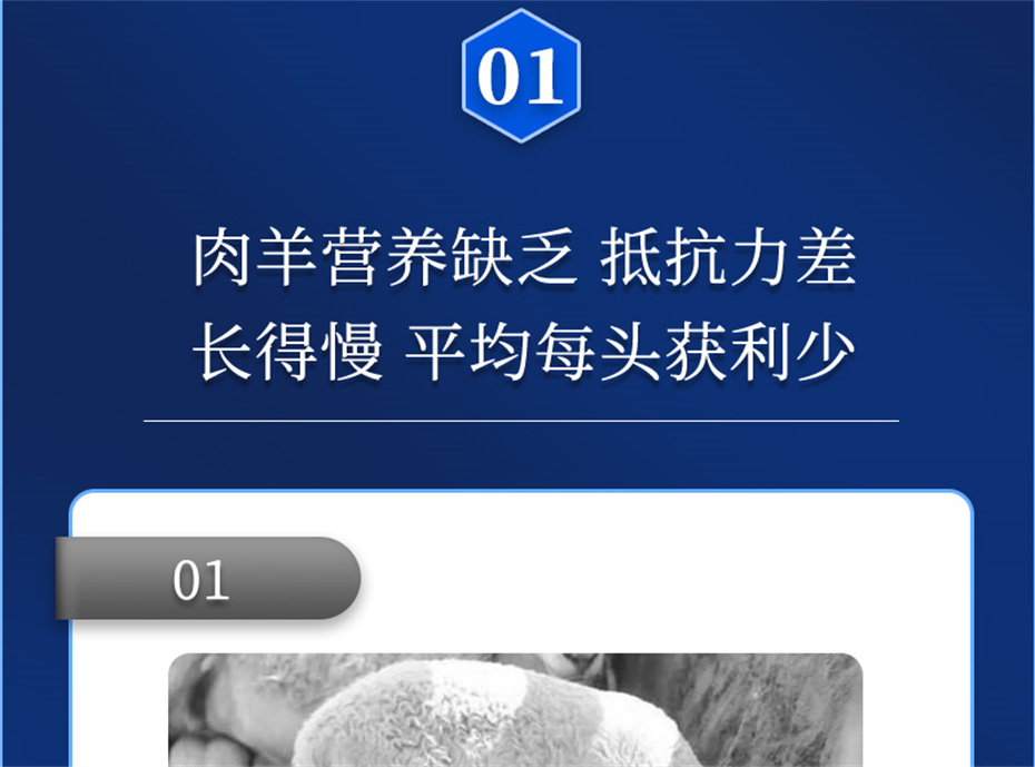 j9����Ʒ�ʶ������������Ӽ��������Ʒ����