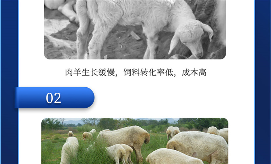 j9����Ʒ�ʶ������������Ӽ��������Ʒ����