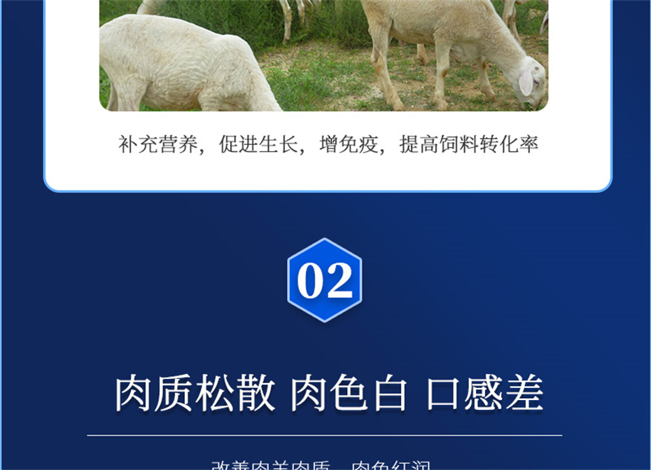 j9����Ʒ�ʶ������������Ӽ��������Ʒ����