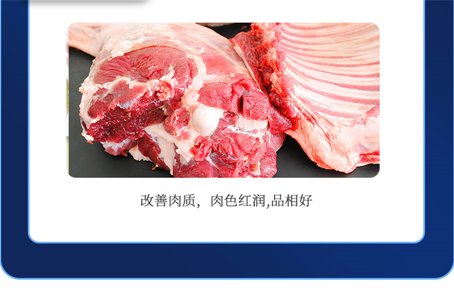 j9����Ʒ�ʶ������������Ӽ��������Ʒ����