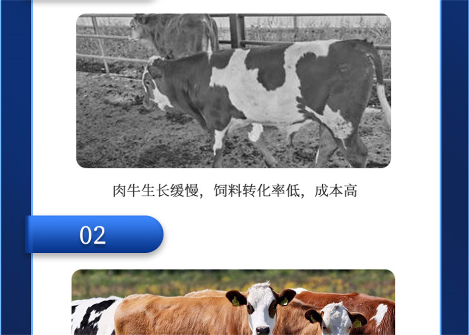 j9����Ʒ�ʶ���ţ�������Ӽ���ţ����Ʒ����