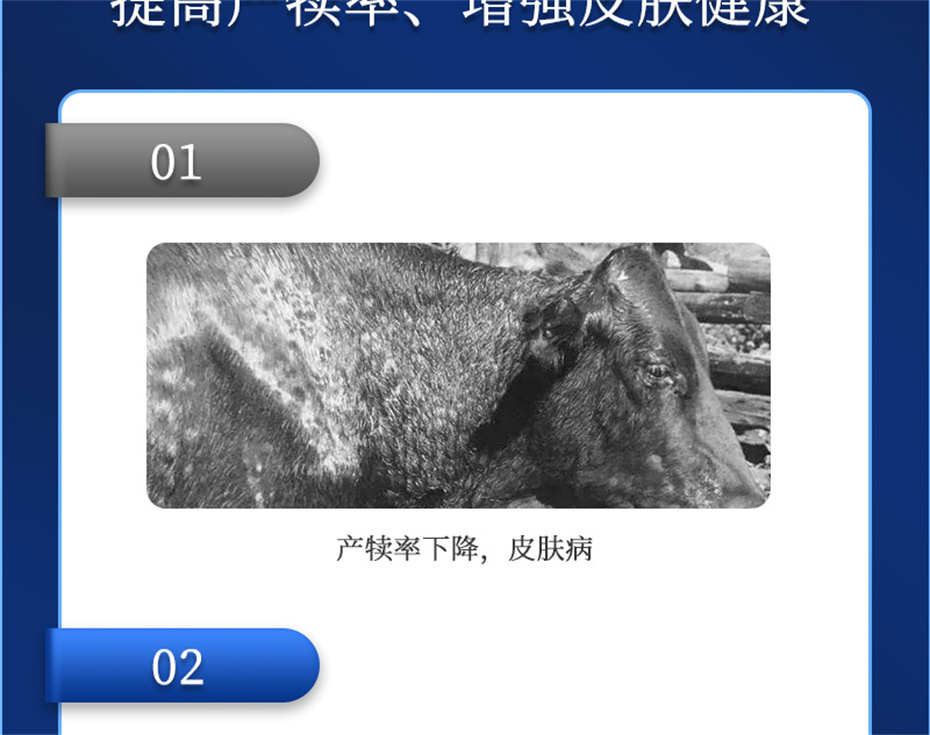 j9����Ʒ�ʶ���ţ���������Ӽ�����Ѫţ���Ʒ����