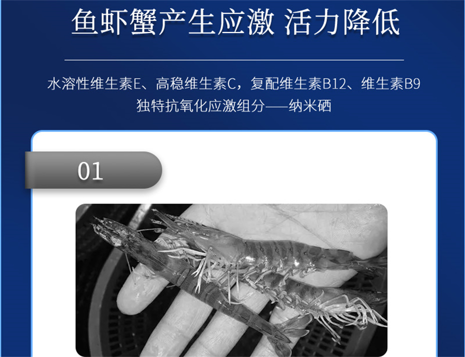 j9����Ʒ�ʶ���ˮ���������Ӽ�����1�Ų�Ʒ����