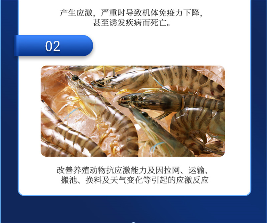 j9����Ʒ�ʶ���ˮ���������Ӽ�����1�Ų�Ʒ����