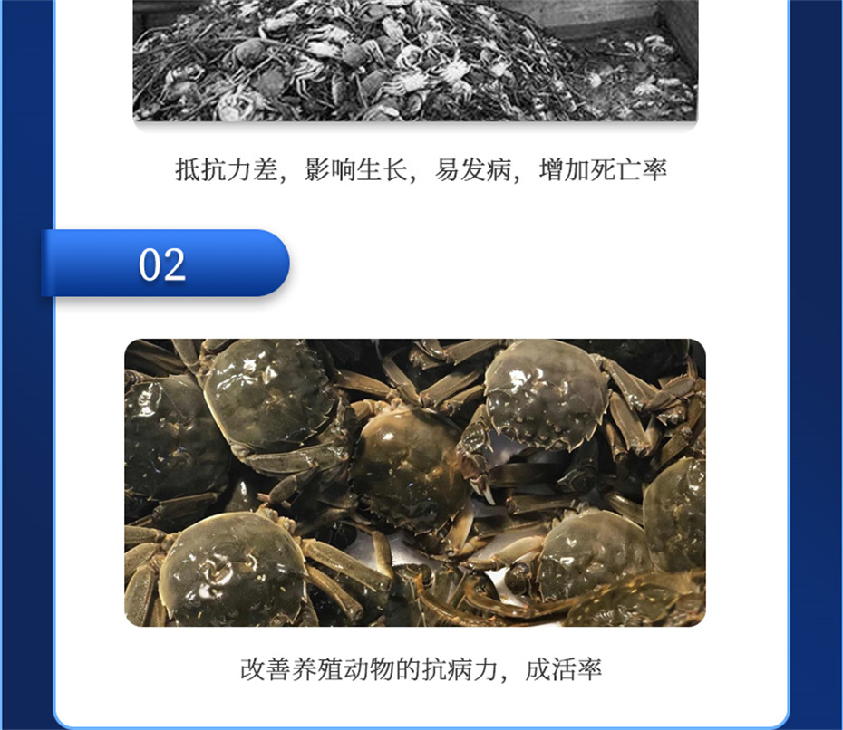 j9����Ʒ�ʶ���ˮ���������Ӽ�����1�Ų�Ʒ����