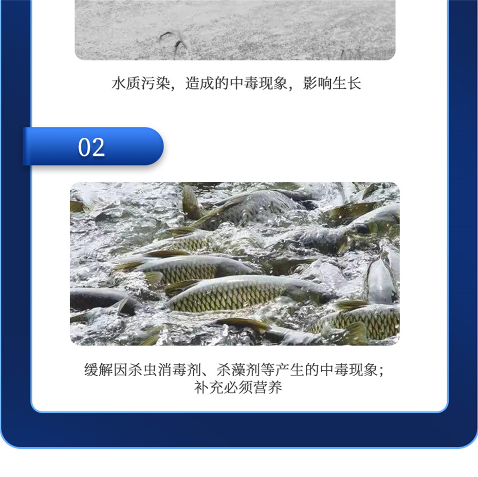 j9����Ʒ�ʶ���ˮ���������Ӽ�����1�Ų�Ʒ����