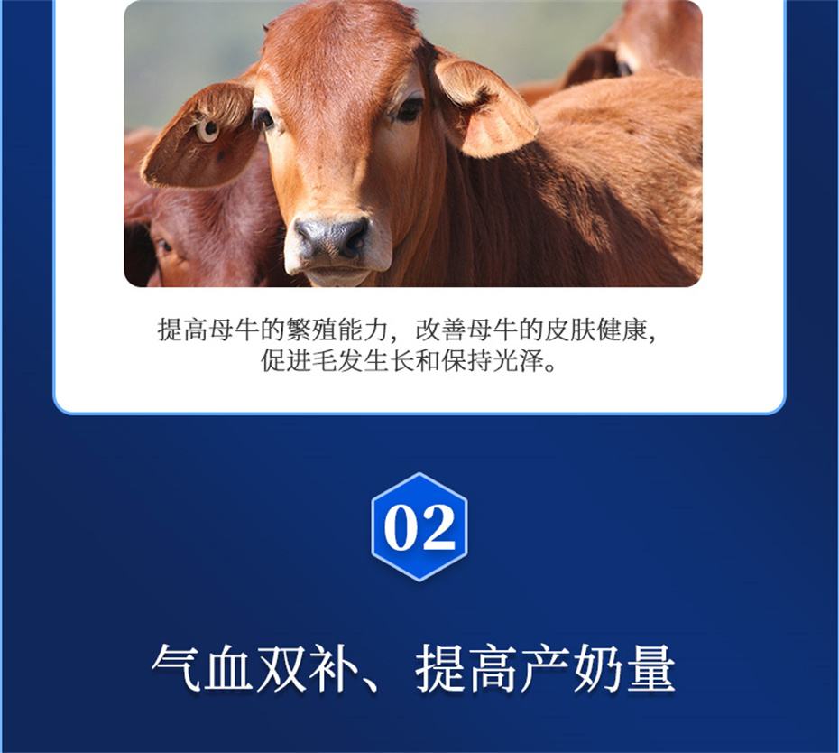 j9����Ʒ�ʶ���ţ���������Ӽ�����Ѫţ���Ʒ����