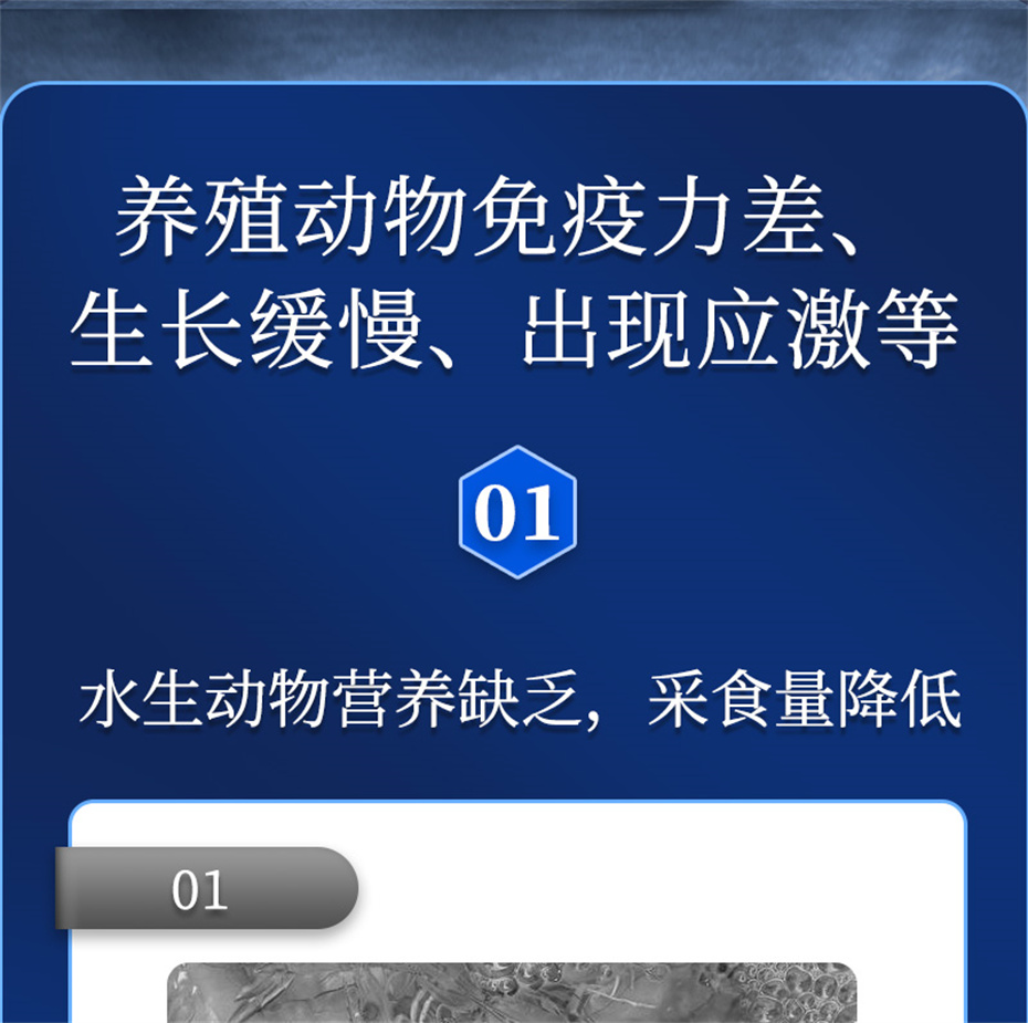 j9����Ʒ�ʶ���ˮ���������Ӽ�ά��1�Ų�Ʒ����