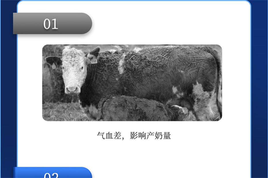 j9����Ʒ�ʶ���ţ���������Ӽ�����Ѫţ���Ʒ����