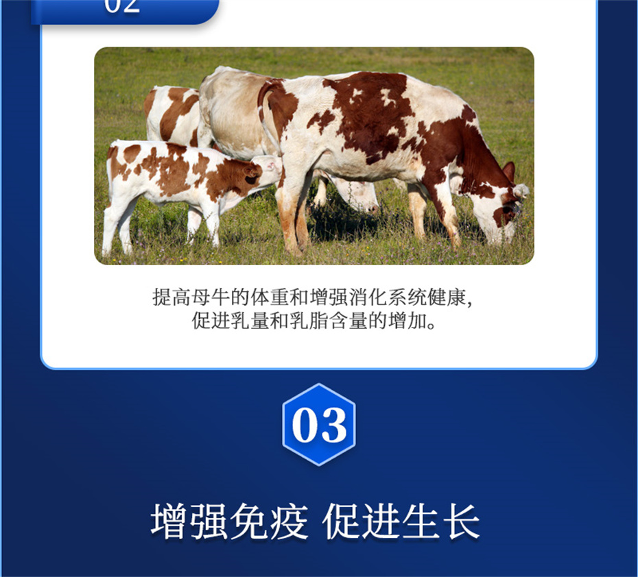 j9����Ʒ�ʶ���ţ���������Ӽ�����Ѫţ���Ʒ����
