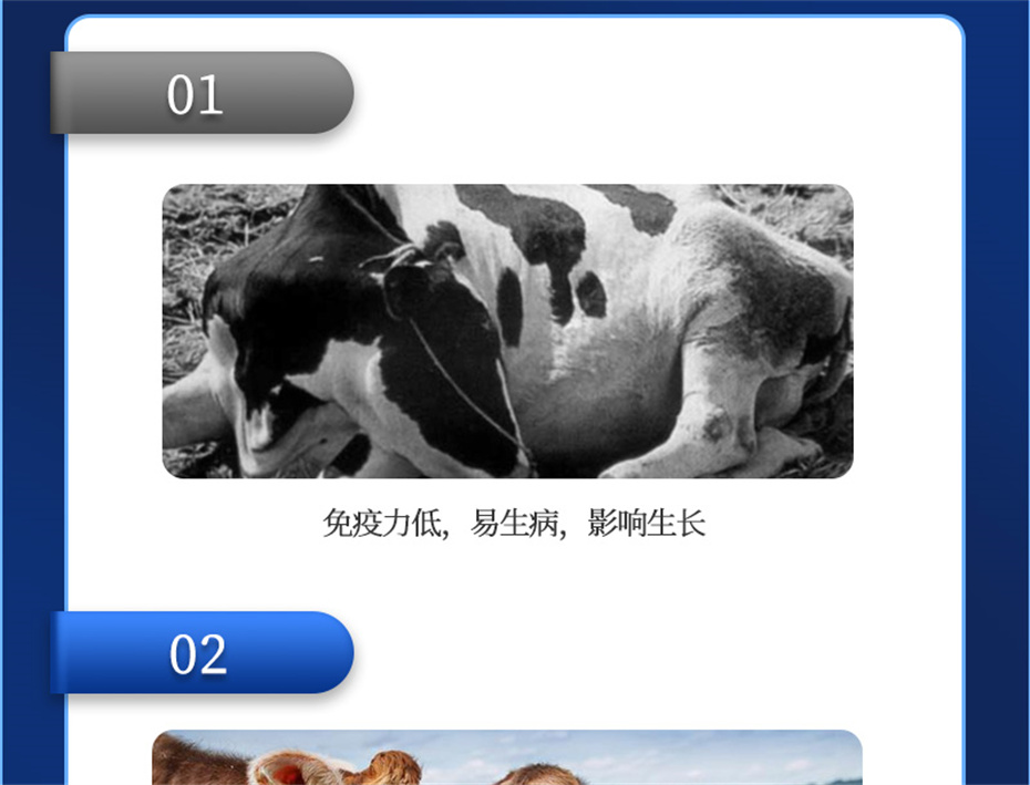 j9����Ʒ�ʶ���ţ���������Ӽ�����Ѫţ���Ʒ����