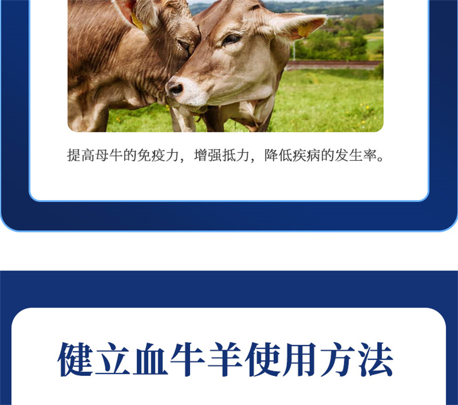 j9����Ʒ�ʶ���ţ���������Ӽ�����Ѫţ���Ʒ����
