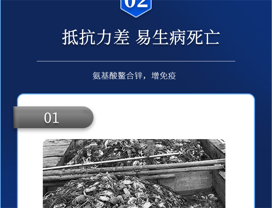 j9����Ʒ�ʶ���ˮ���������Ӽ�Ϻ������Ʒ����