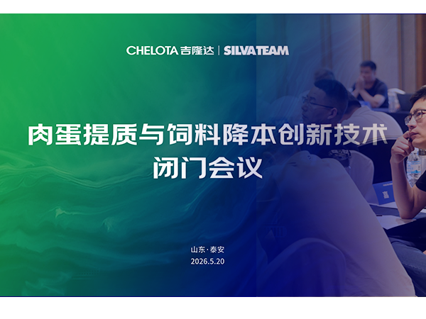 ������ | CHELOTAj9����Ʒ��&�����ʩ�����⵰���������Ͻ������¼������Ż�Բ������
