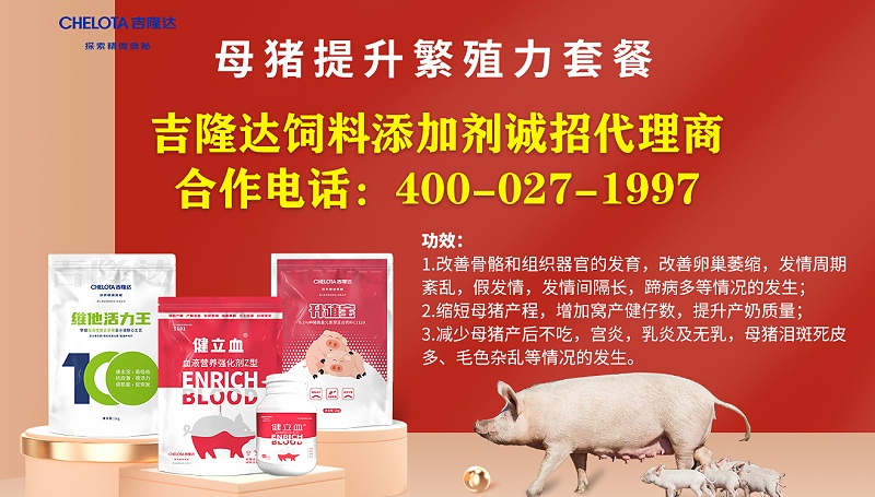 ����ĸ����ֳ��
