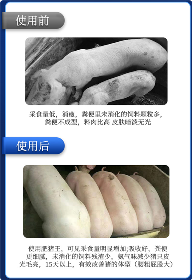 j9����Ʒ��-������ʹ��Ч��