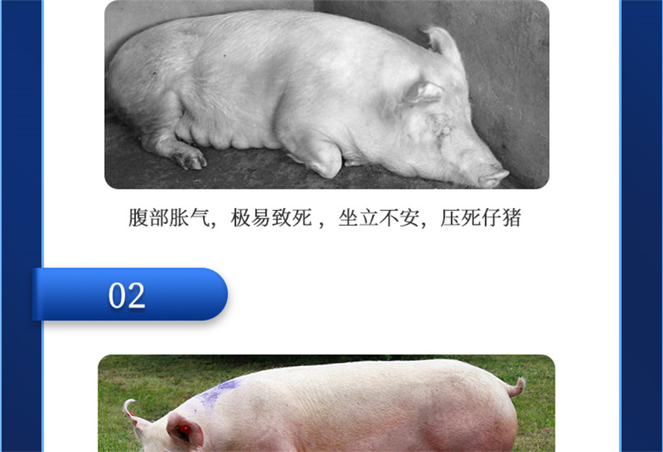 j9����Ʒ�ʶ������������Ӽ�ĸ��ͨ��Ʒ����