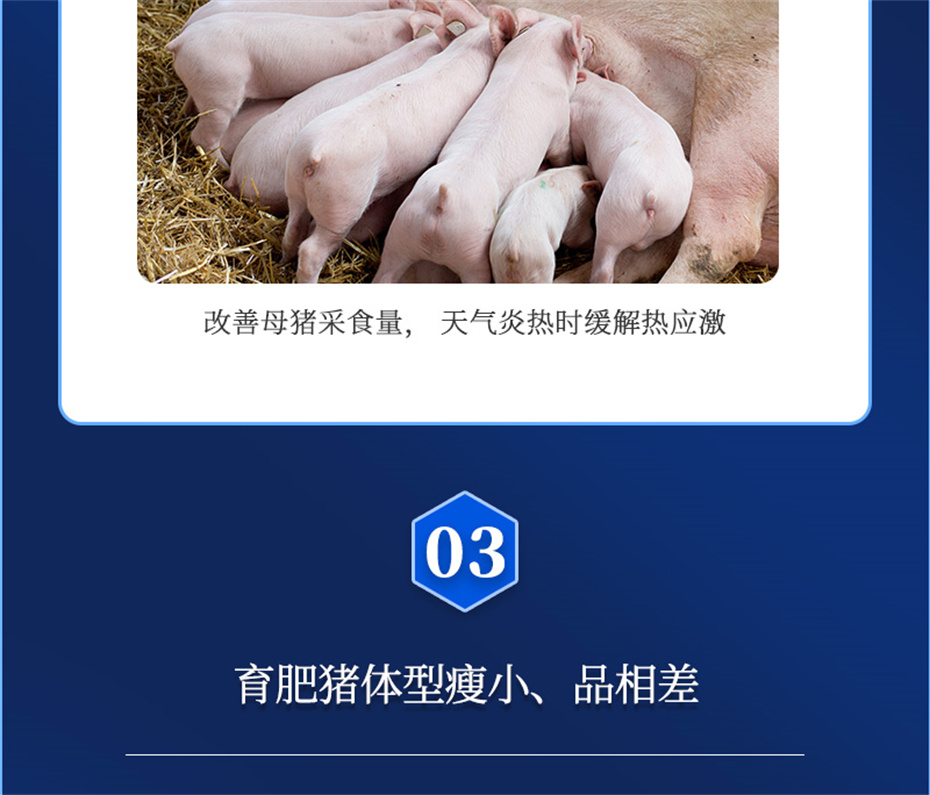 j9����Ʒ�ʶ������������Ӽ�ĸ��ͨ��Ʒ����