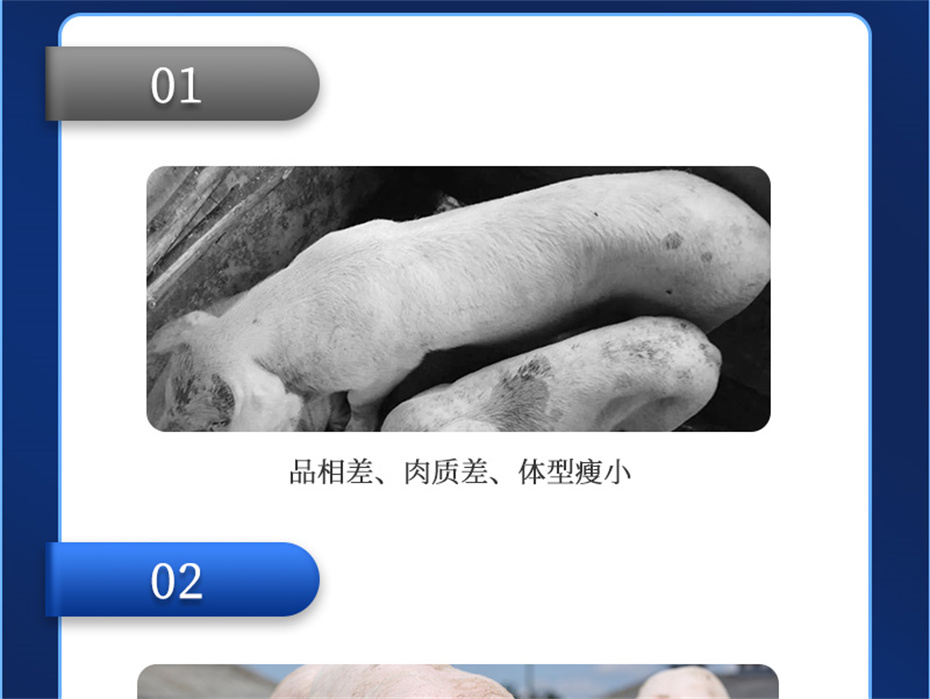 j9����Ʒ�ʶ������������Ӽ�ĸ��ͨ��Ʒ����