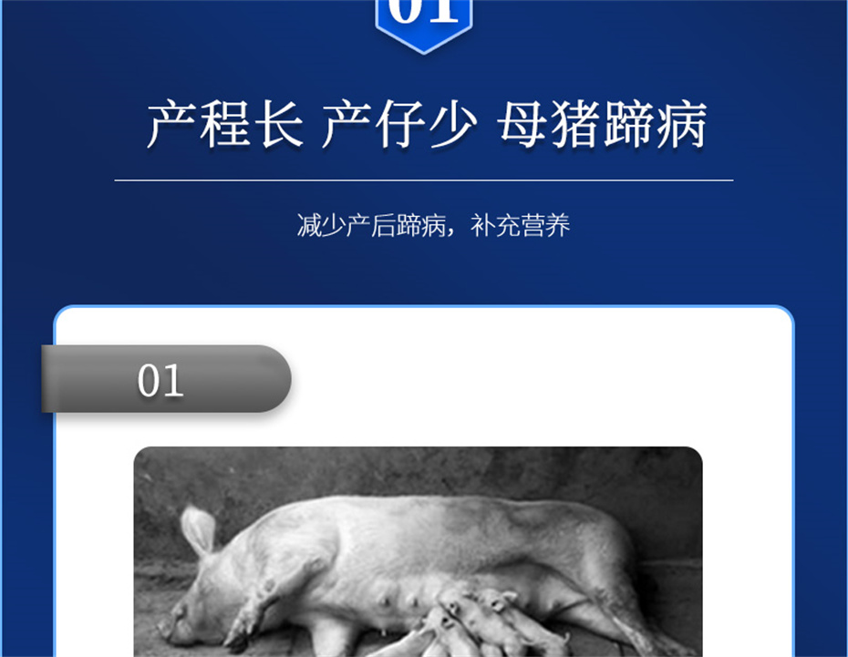 j9����Ʒ�ʶ������������Ӽ���ֳ����Ʒ����