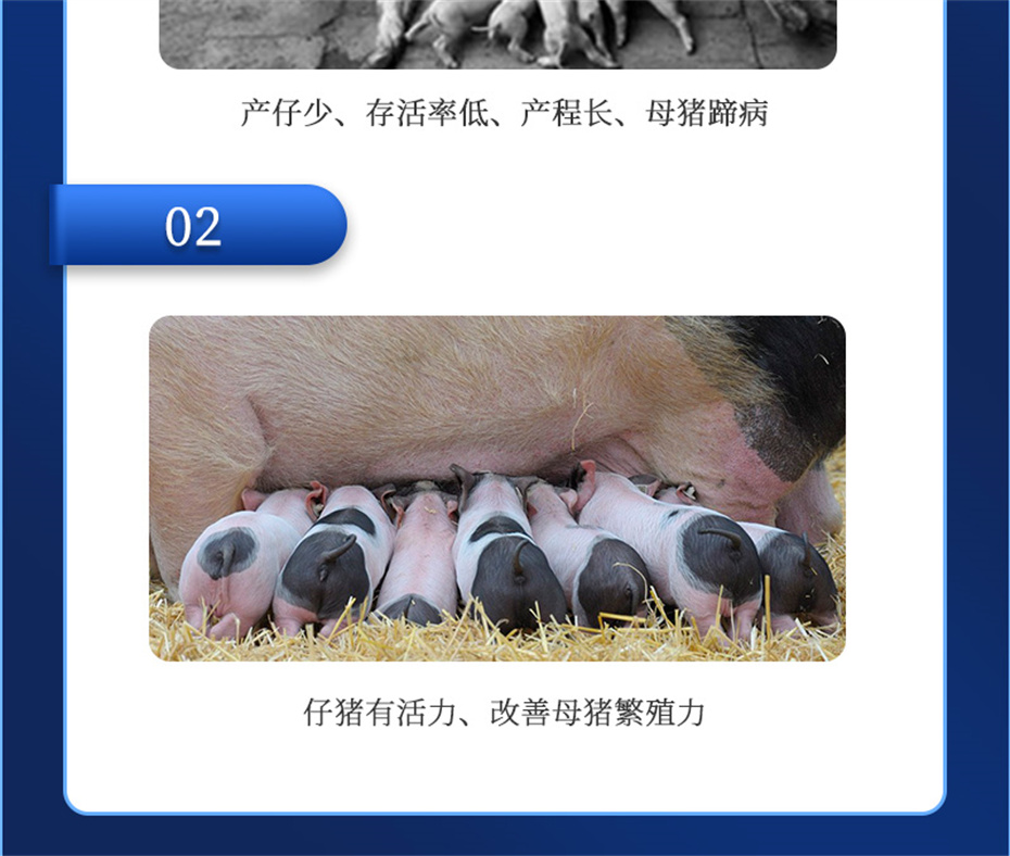 j9����Ʒ�ʶ������������Ӽ���ֳ����Ʒ����