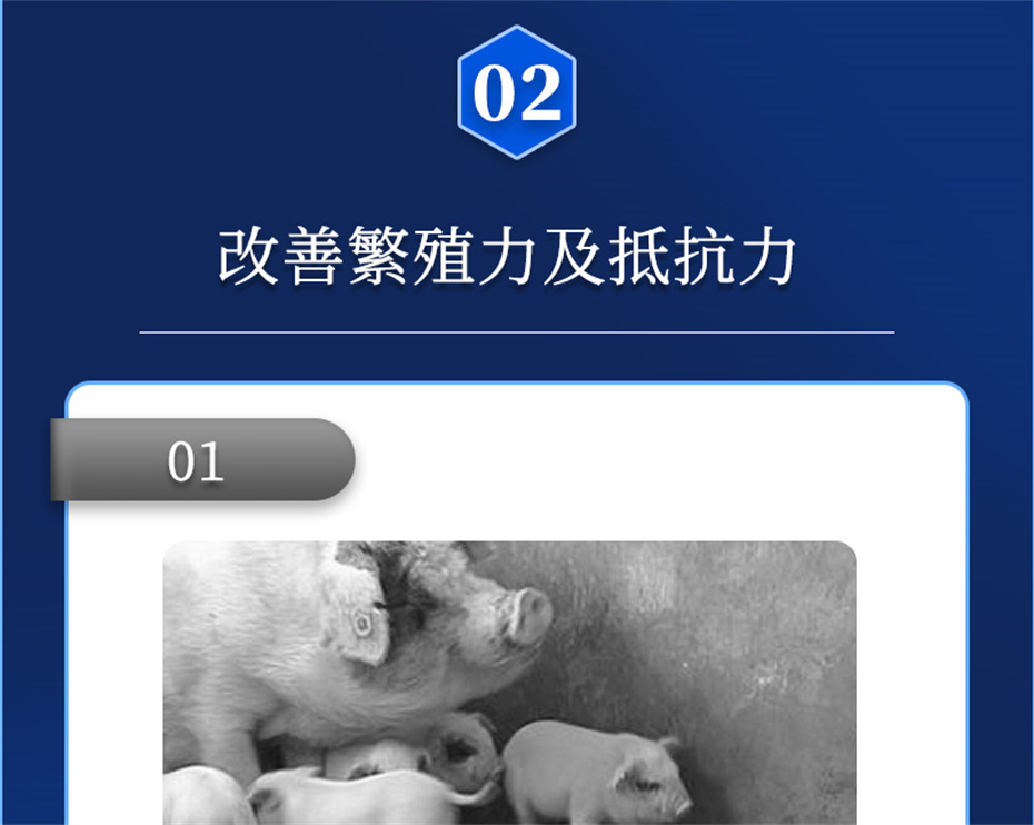 j9����Ʒ�ʶ������������Ӽ���ֳ����Ʒ����