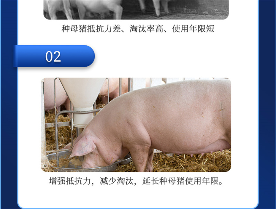 j9����Ʒ�ʶ������������Ӽ���ֳ����Ʒ����