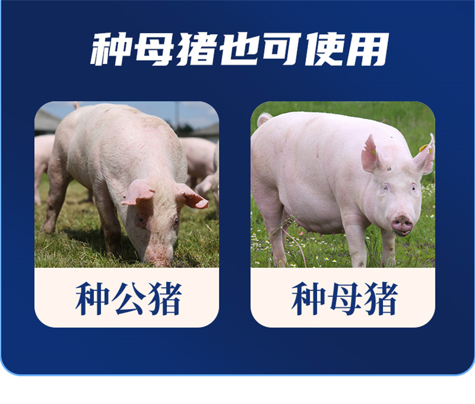 j9����Ʒ�ʶ������������Ӽ���ֳ����Ʒ����