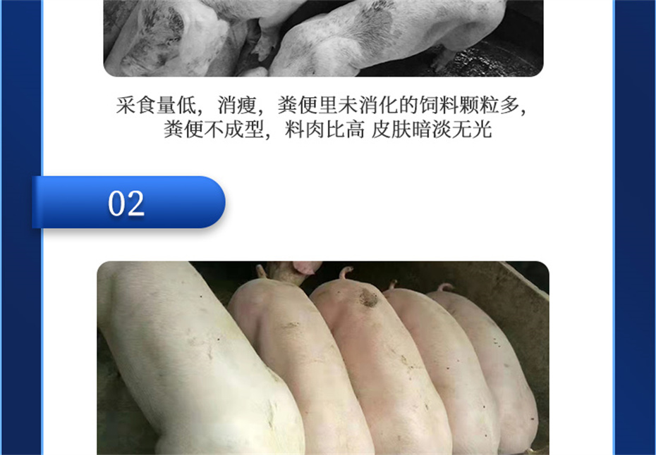 j9����Ʒ�ʶ������������Ӽ���������Ʒ����