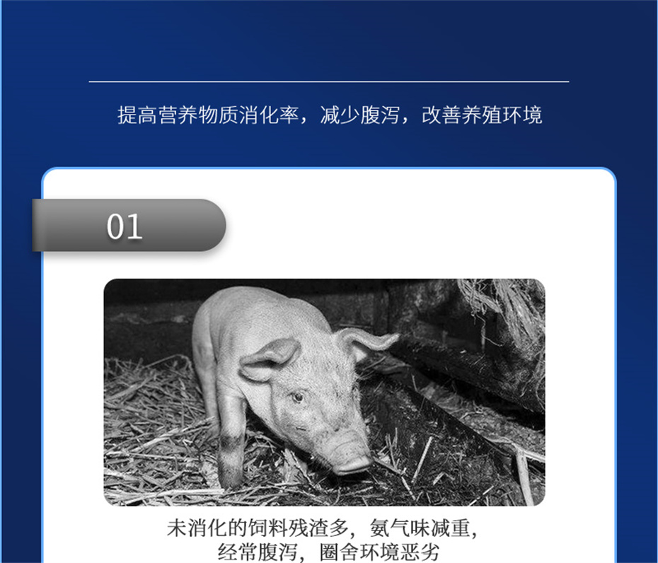 j9����Ʒ�ʶ������������Ӽ���������Ʒ����