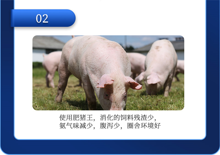 j9����Ʒ�ʶ������������Ӽ���������Ʒ����