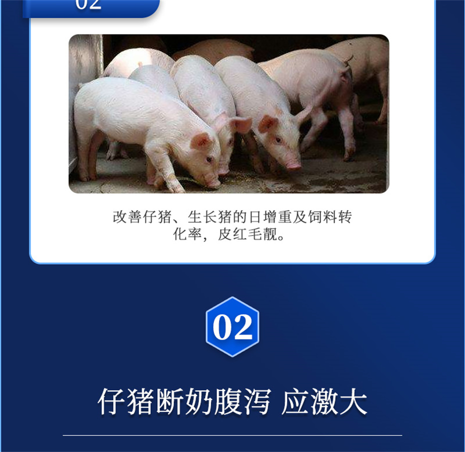 j9����Ʒ�ʶ������������Ӽ�������������Ʒ����