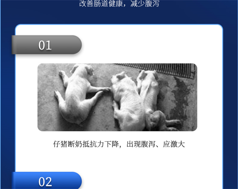 j9����Ʒ�ʶ������������Ӽ�������������Ʒ����