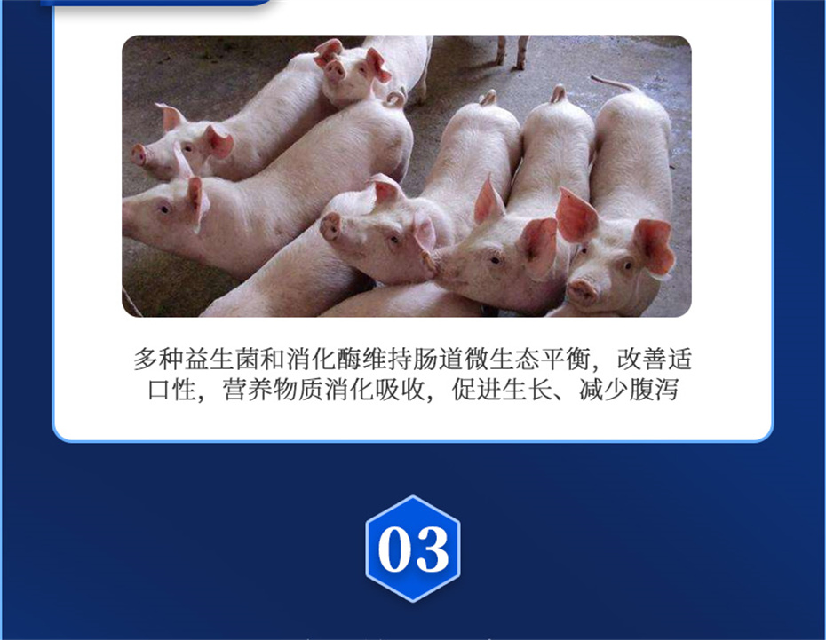 j9����Ʒ�ʶ������������Ӽ�������������Ʒ����