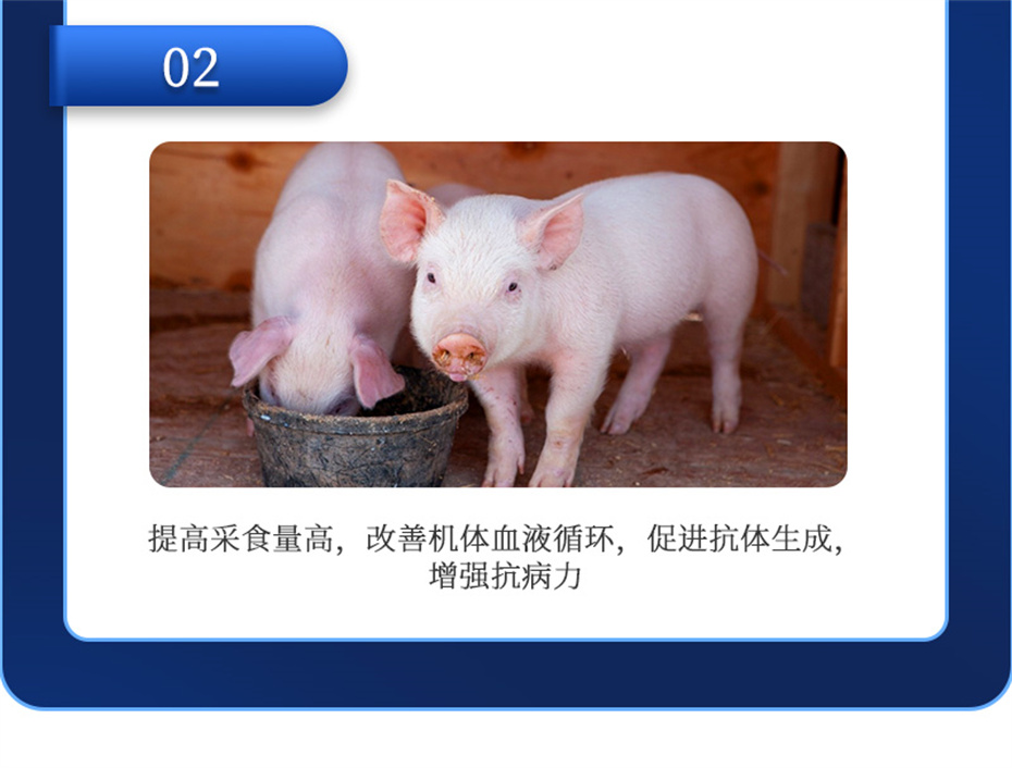 j9����Ʒ�ʶ������������Ӽ�������������Ʒ����