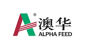 �Ĵ��Ļ�