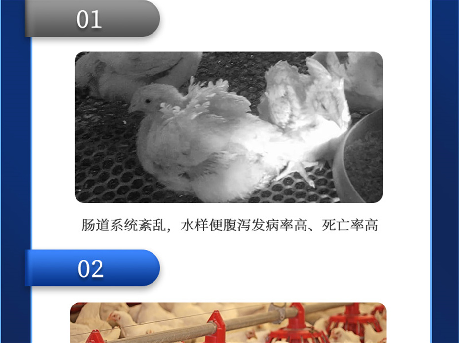 j9����Ʒ�ʶ������������Ӽ����ﱦ��Ʒ����