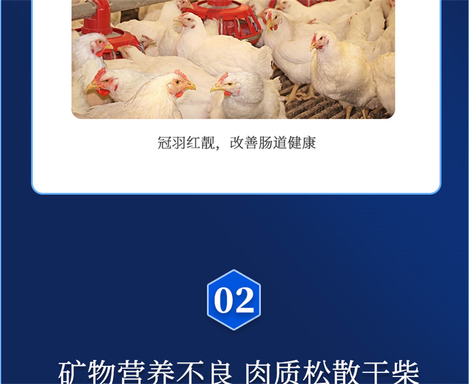 j9����Ʒ�ʶ������������Ӽ����ﱦ��Ʒ����
