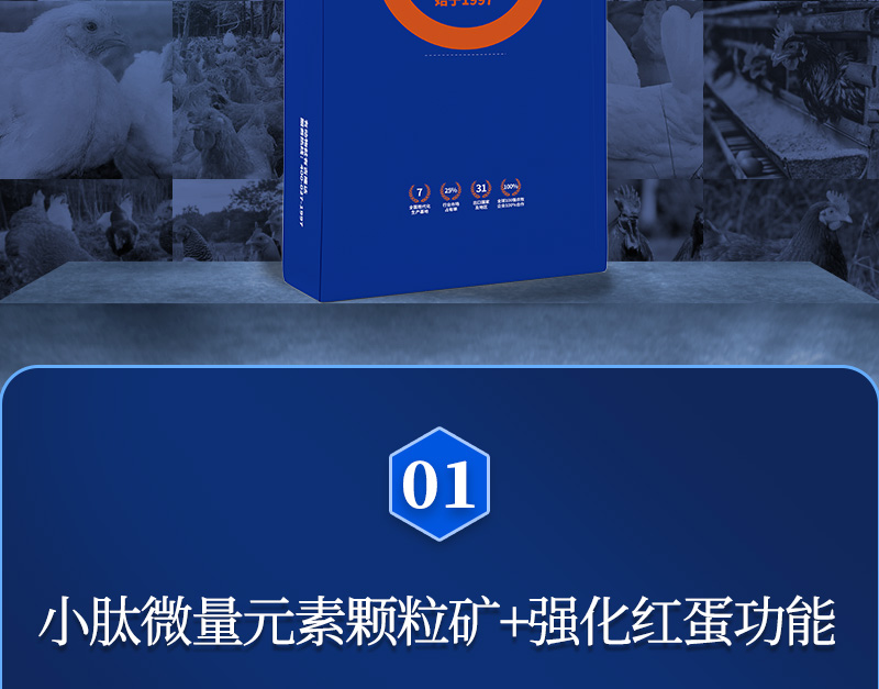 ������G2��������ҳ_02