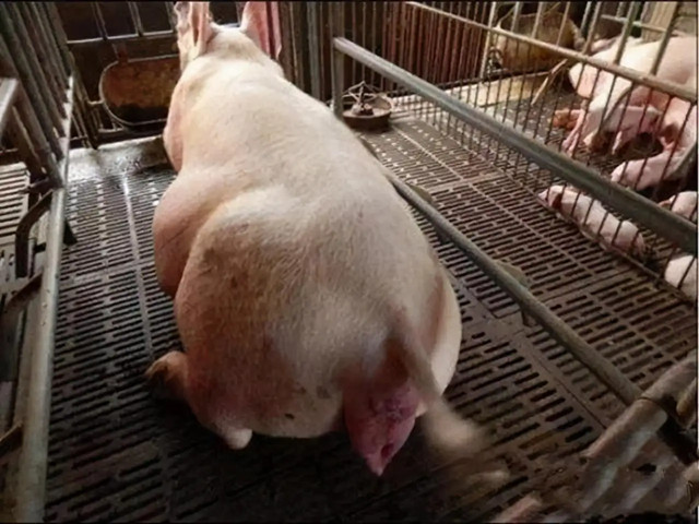 ĸ�����̹���������