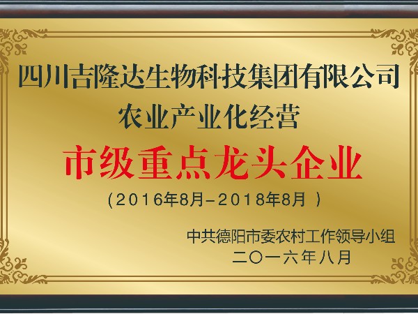 Ȩ����֤����j9����Ʒ���������ʸ���