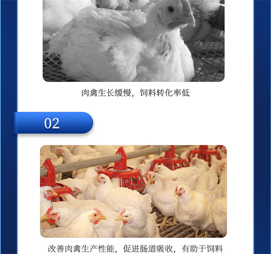 j9����Ʒ�ʶ������������Ӽ������ز�Ʒ����