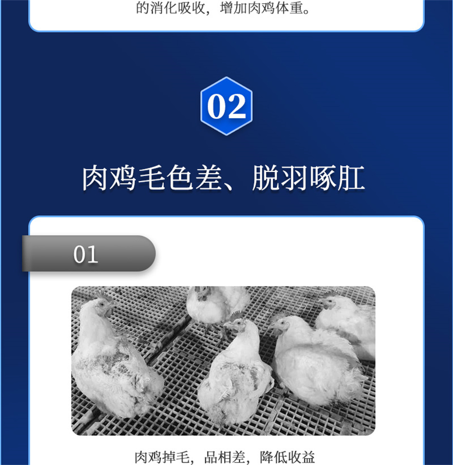j9����Ʒ�ʶ������������Ӽ������ز�Ʒ����