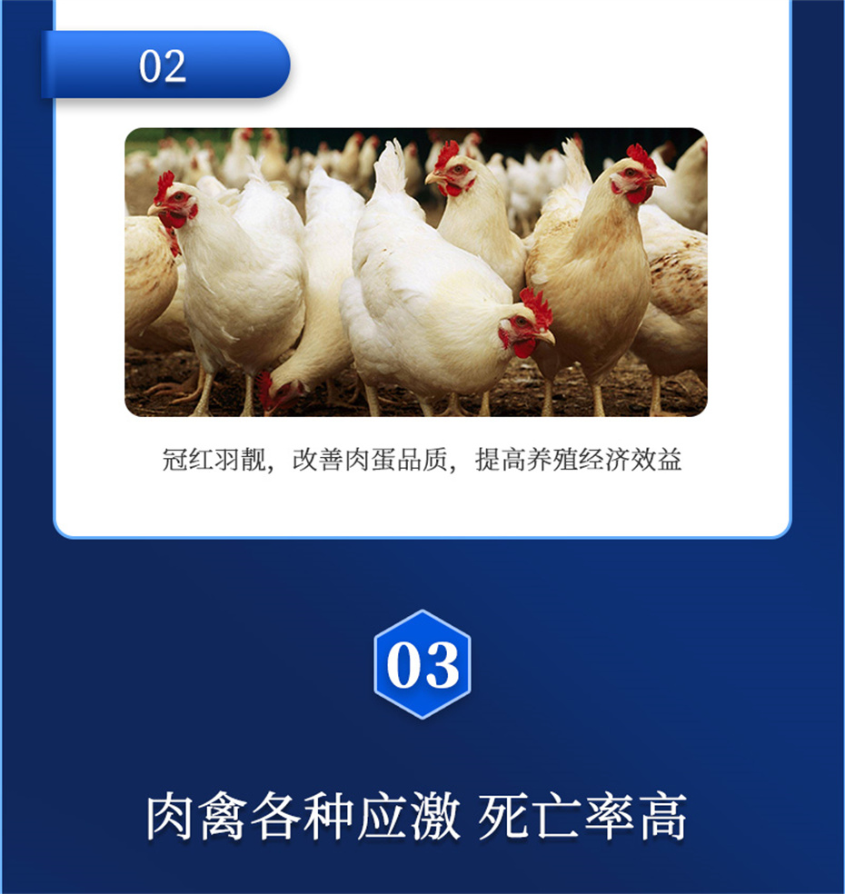 j9����Ʒ�ʶ������������Ӽ������ز�Ʒ����