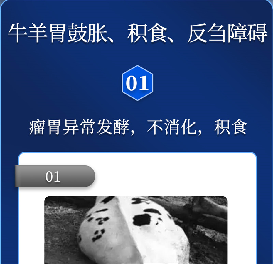 j9����Ʒ�ʶ���ţ���������Ӽ�θ��plus��Ʒ����