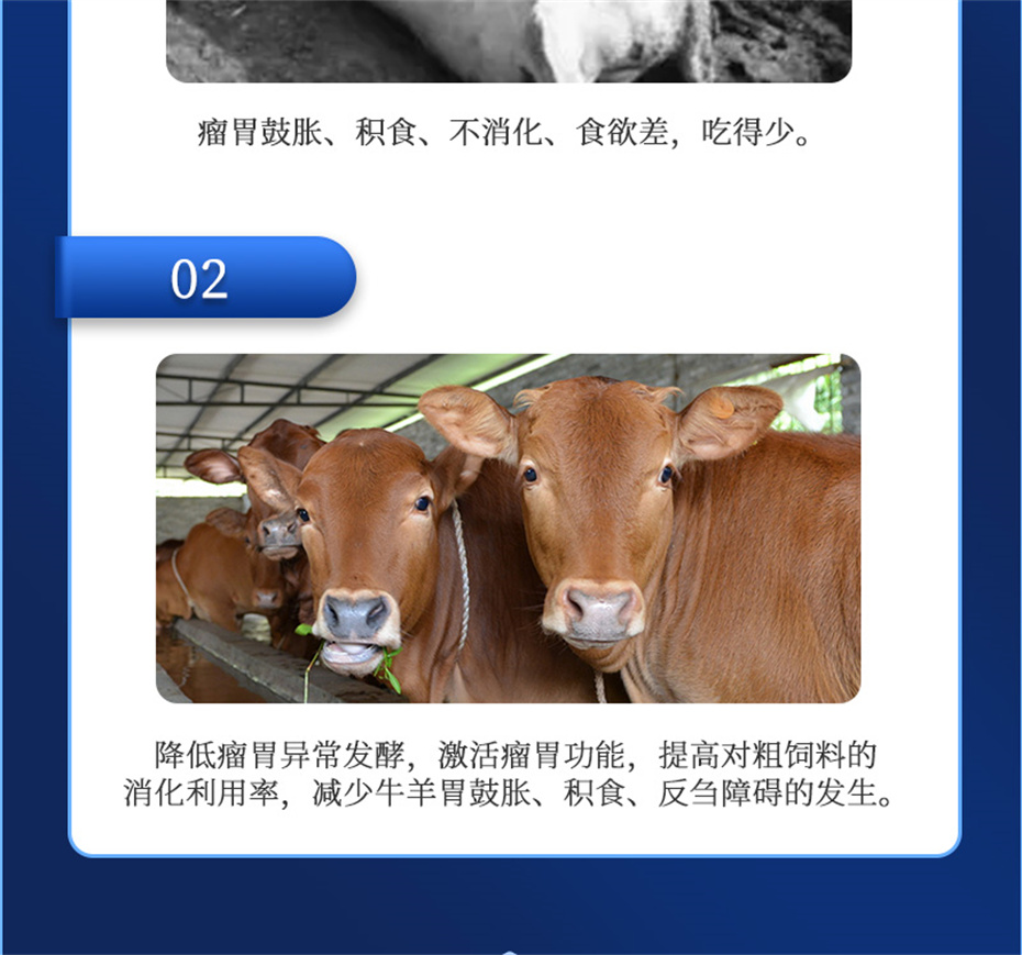 j9����Ʒ�ʶ���ţ���������Ӽ�θ��plus��Ʒ����