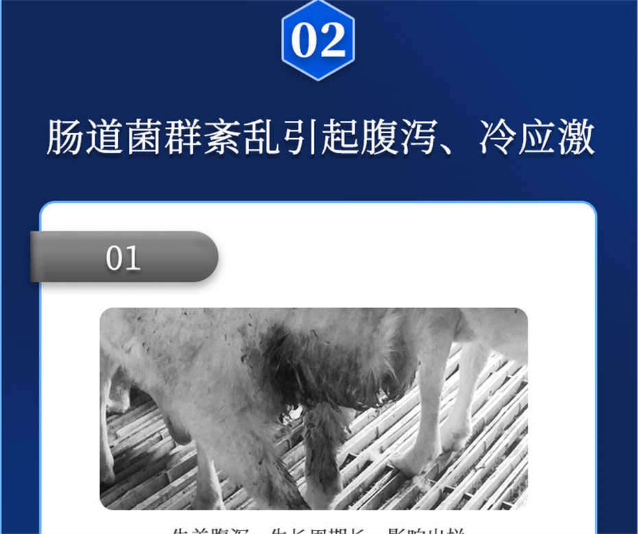 j9����Ʒ�ʶ���ţ���������Ӽ�θ��plus��Ʒ����