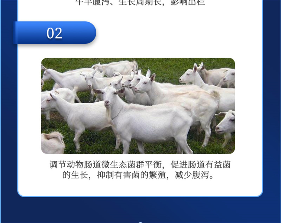 j9����Ʒ�ʶ���ţ���������Ӽ�θ��plus��Ʒ����