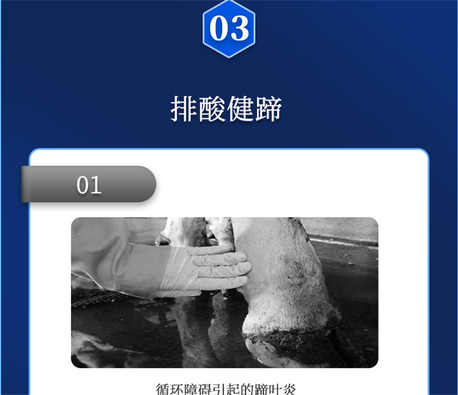 j9����Ʒ�ʶ���ţ���������Ӽ�θ��plus��Ʒ����